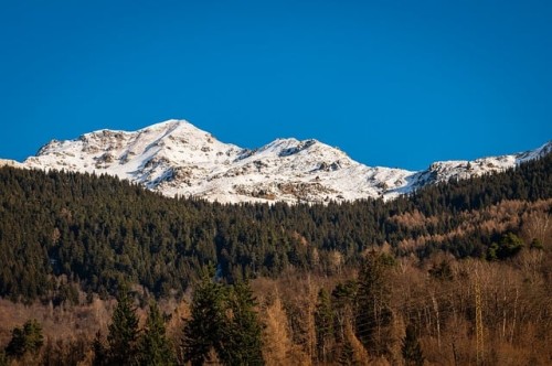 switzerland-9287004_640.jpg